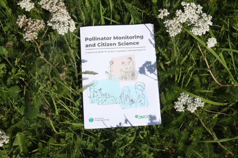 new-guide-to-monitoring-pollinators-biological-records-centre